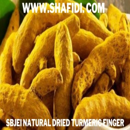 NATURAL DRIED TURMERIC FINGER